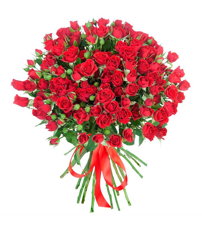 Розы Кустовые красные