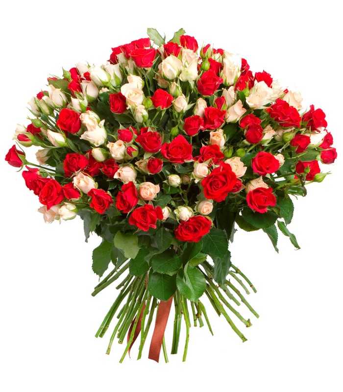 Розы Кустовые микс 3
