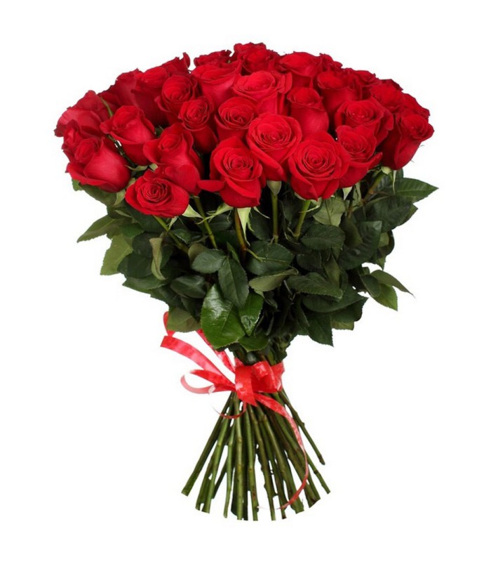 Розы Голландия красные