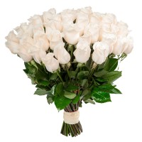 Розы Голландия белые
