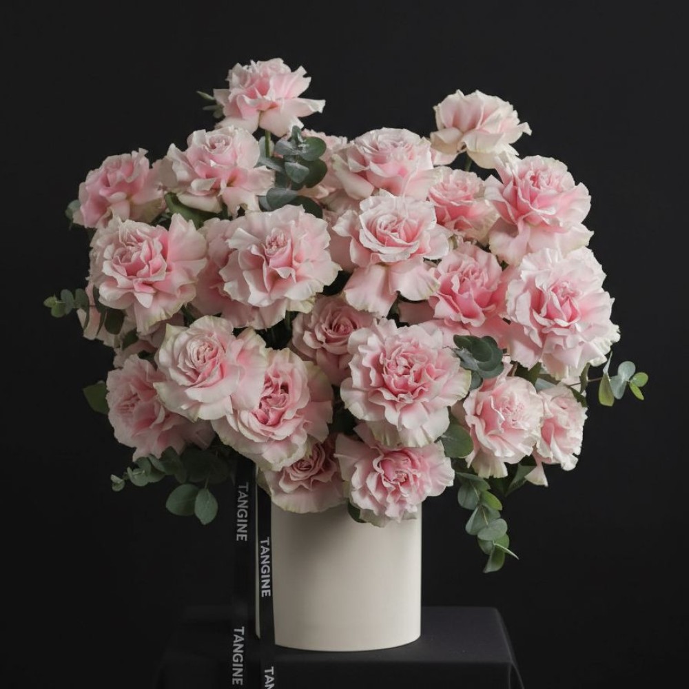 Роза Французская