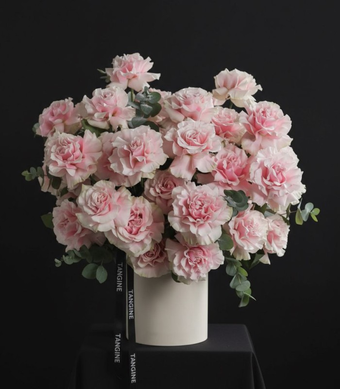 Роза Французская